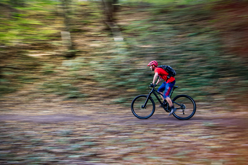 Mountainbike Fahrtechnikkurs Level 1 im Thüringer Wald