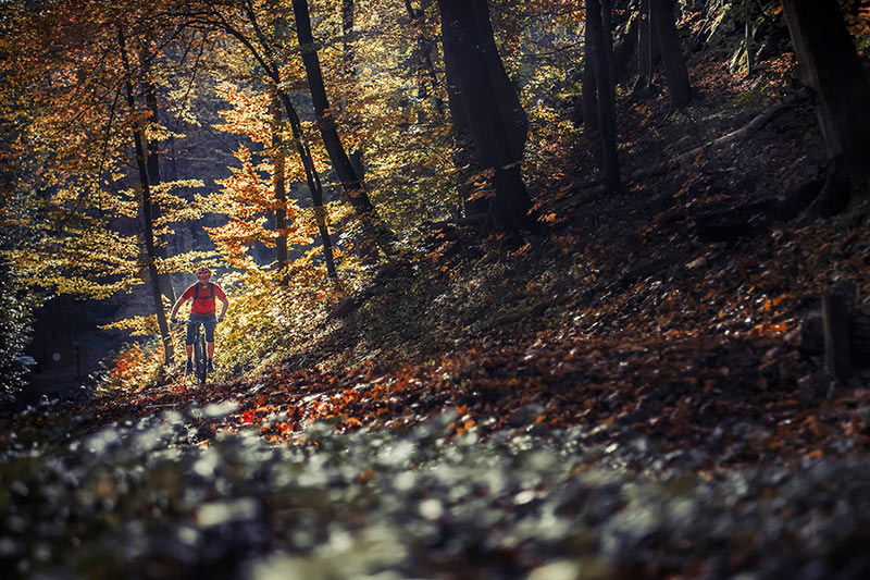 Mountainbiker im Thüringer Wald beim Inselsberg